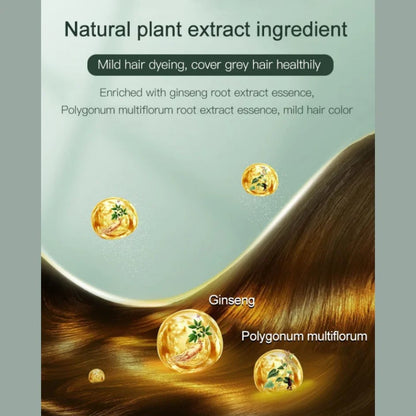 Last Day 49% OFF🔥Fruit Essence Hair Dyeing Comb, Natural Plant Extract Ingredient For All Hair Types