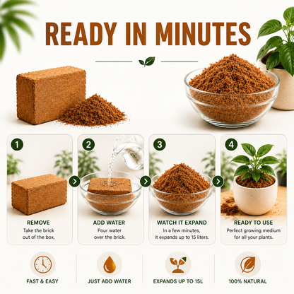 Premium Coco Coir Bricks for Plants