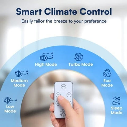 The No-Installation Air Conditioner That Works All Year Round