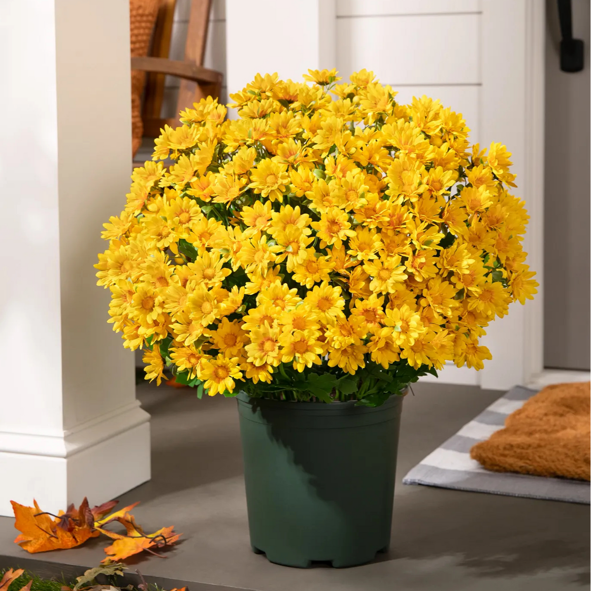 🌼Welcome autumn- Artificial Outdoor Sunset Mums Flowers - UV resistant, Waterproof, Windproof