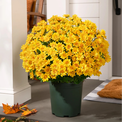 🌼Welcome autumn- Artificial Outdoor Sunset Mums Flowers - UV resistant, Waterproof, Windproof