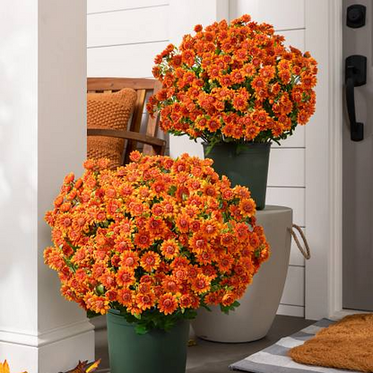 🌼Welcome autumn- Artificial Outdoor Sunset Mums Flowers - UV resistant, Waterproof, Windproof