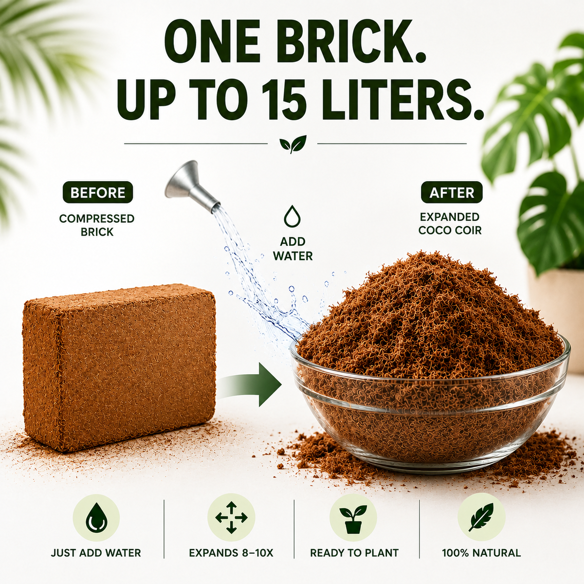 Premium Coco Coir Bricks for Plants